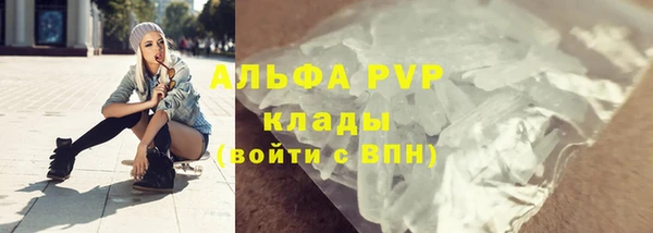 СК Алексин