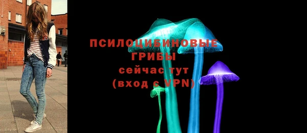 гидра Алексеевка
