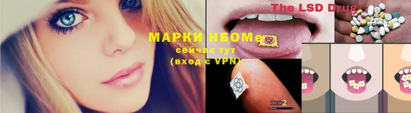 прущие крисы Алзамай