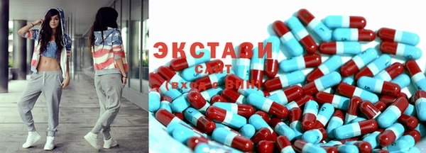 СК Алексин