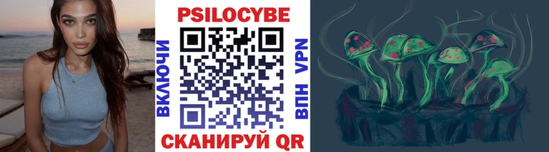 Купить где  Скопин  Галлюциногенные грибы MAGIC MUSHROOMS 